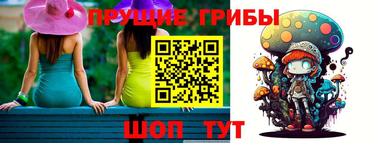 Псилоцибиновые грибы Psilocybine cubensis  Вход с VPN  где купить наркоту  Галлюциногенные грибы GOLDEN TEACHER  Хасавюрт 